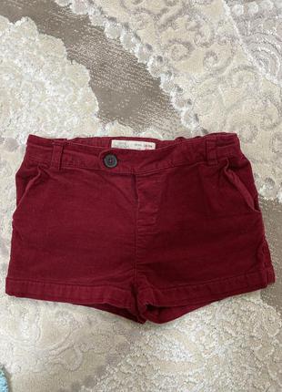 Шорті