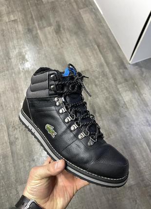 lacoste 2700 79162563