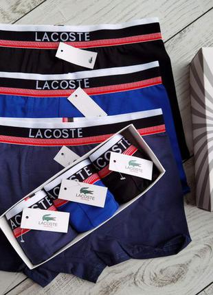 Труси боксери поштучно  lacoste