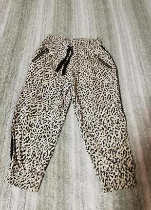 Леопардові штанці, внизу манжет2 фото