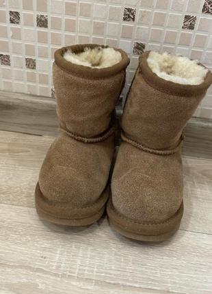 Сапоги ugg