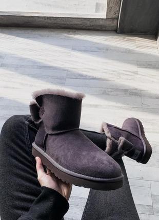 Женские ugg фиолетовые низкие3 фото