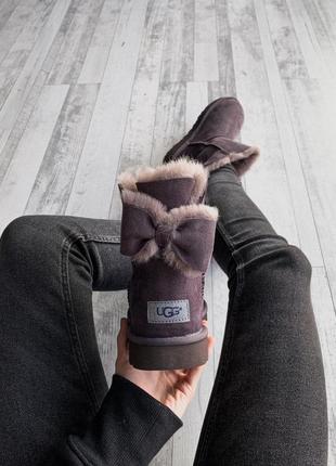 Женские ugg фиолетовые низкие4 фото