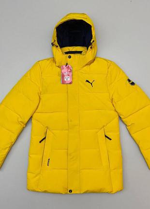 Зимняя куртка 🧥