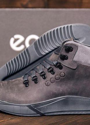 Зимние кожаные спортивные ботинки на меху ecco nubuck grey3 фото