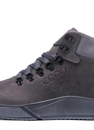 Зимние кожаные спортивные ботинки, кроссовки на меху ecco nubuck grey5 фото