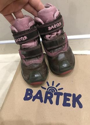 Термосапожки чобітки bartek 25 розмір