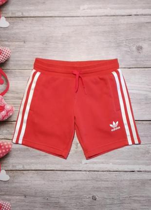 Спортивные трикотажные красные шорты adidas унисекс 4-5 лет