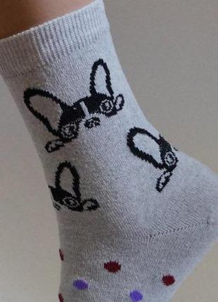 Шкарпетки веселі з модним принтом тварин звірів собака1 фото