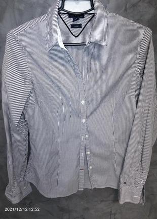 Фірмова сорочка