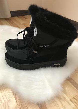 Теплі луноходи