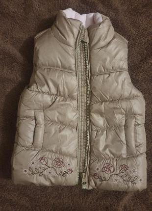 Дитяча Жилетка безрукавка тепла