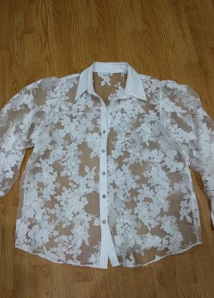 Стильна блузка1 фото
