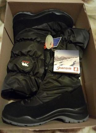 Сапоги женские