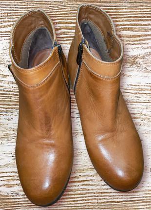 Стильные кожаные ботинки ботильоны натуральная кожа bellissimo2 фото