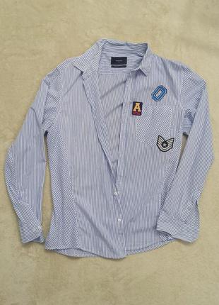 Сорочкака чоловіча