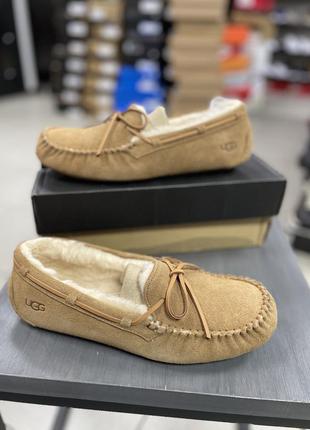 Зимние мокасины ugg olsen m 1003390 оригинал