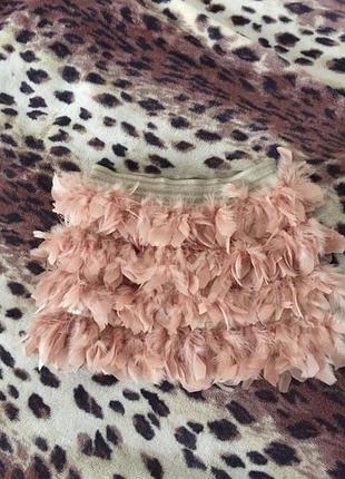 Спідниця спідниця пір'я пір'я страдивариус stradivarius страдіваріус