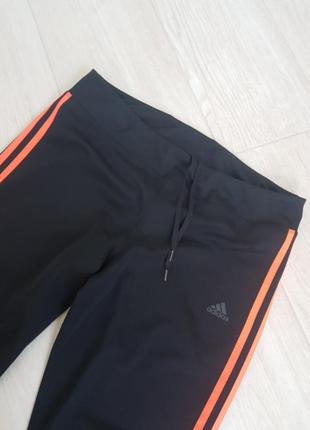 Штани спортивні adidas running climalite4 фото