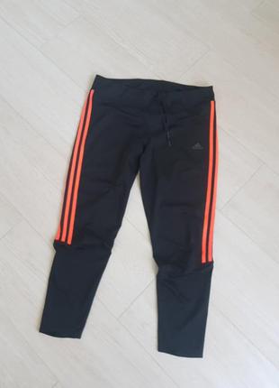 Штани спортивні adidas running sobakovlite