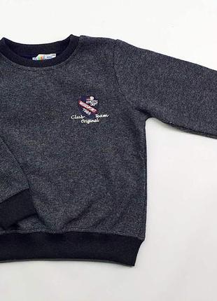 Свитшот трикотажный для мальчика с вышивкой 19875