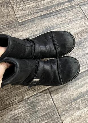 Ugg оригинал 3