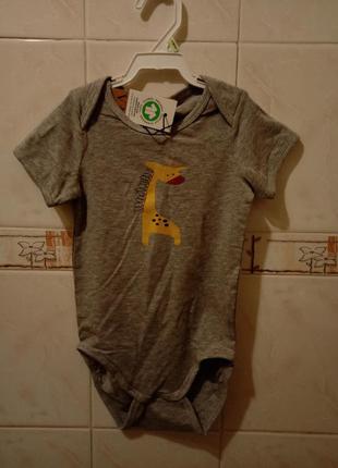 Бодік vrs 2-3 роки