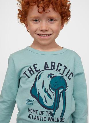 Реглан h&m р. 2-4, 4-6, 8-10 лет. 3