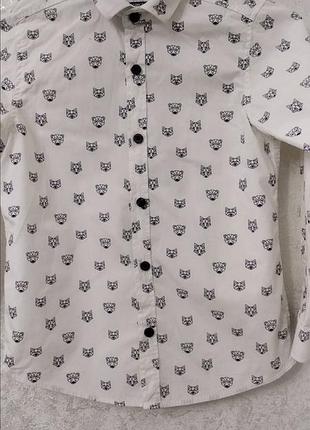 Модна сорочка