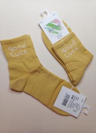 Жіночі шкарпетки золото