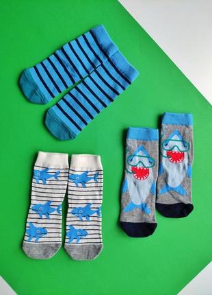 Набір носків джордж ❤️ шкарпетки акула