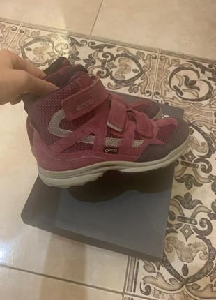Зимові черевики, кросівки ecco goretex