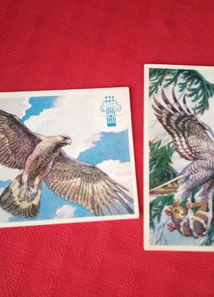 Набор открыток(2шт) птицы. 1978г