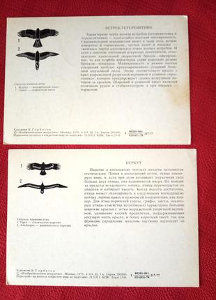 Набор открыток(2шт) птицы. 1978г3 фото