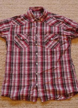 Рубашка-теніска котонова розмір l