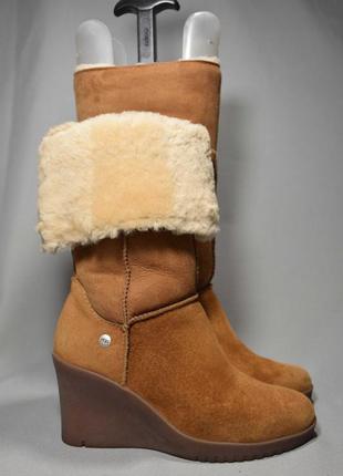 Ugg australia joslyn ботильоны сапоги угги женские зимние овчина цигейка. оригинал. 35-36 р./22.3 см2 фото