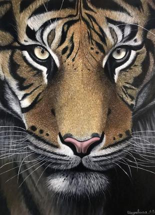 Авторська картина маслом «тигр» подарунок до нового року 🧡1 фото