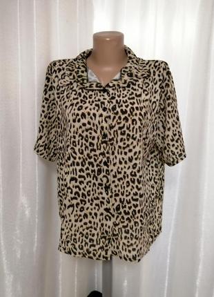Блуза рубашка лео леопард2 фото