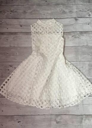 Мереживне плаття трапеція дуже ніжне кльош пишна сукня коктейльне