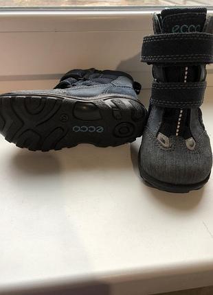 Зимние термо ботинки ecco
