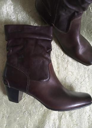 Напівчоботи, черевики з натуральної шкіри, tamaris,,41, нові!