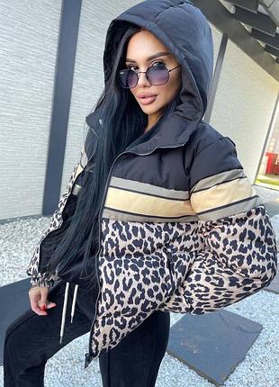 Зимняя куртка