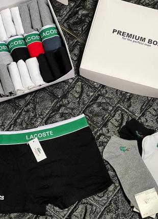 Подарунковий набір труси + шкарпетки lacoste чоловічі