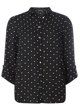 Блуза сорочка в горошок zara4 фото