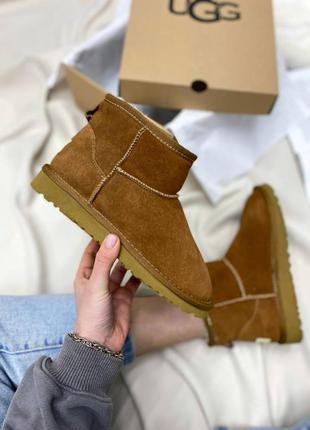 Угги ugg classic mini ii boot beige