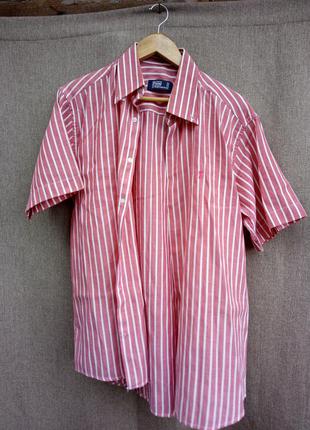 Polo ralph lauren рубашка