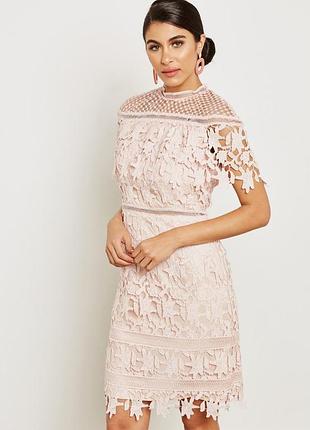 Пудровое  вечернее кружевное платье chi chi london2 фото