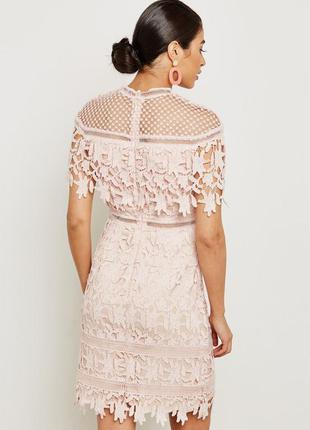 Пудровое  вечернее кружевное платье chi chi london3 фото