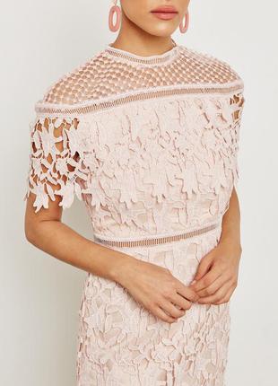 Пудровое  вечернее кружевное платье chi chi london5 фото