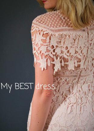 Пудровое  вечернее кружевное платье chi chi london6 фото